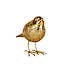 Gold Bird Ornament Gold