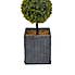 Artificial Faux Boxwood 3 Ball Topiary Tree MultiColoured
