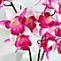 Fuchsia Real Touch Orchid 3 Pack  Pink