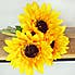 Bundle of 3 Sunflower Yellow 6 Pack 30cm Yellow