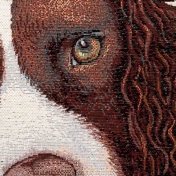 springer spaniel cushion
