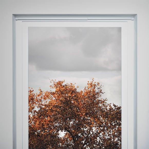 Carousel navigation image position 2 of 6