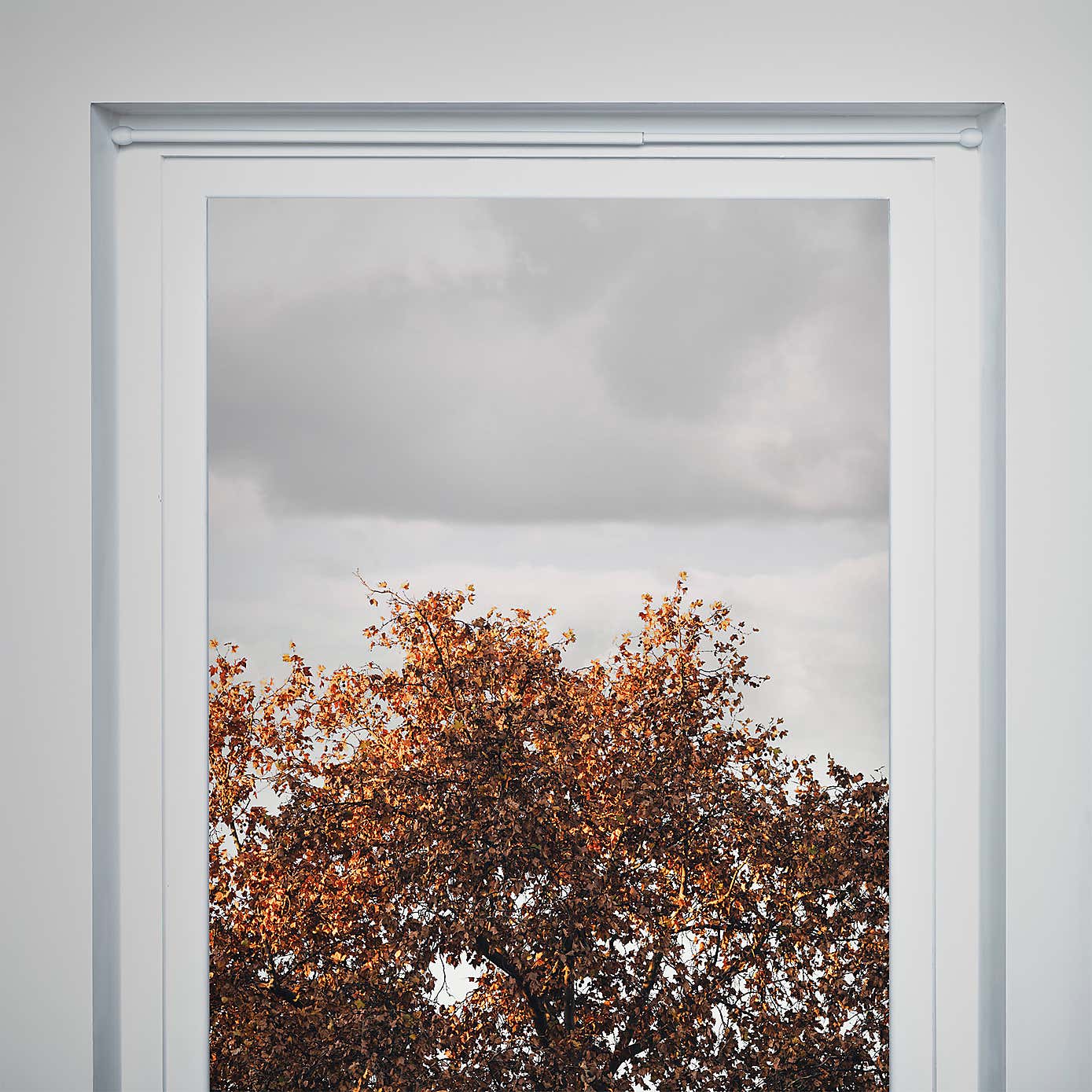 Carousel zoom image position 2 of 5