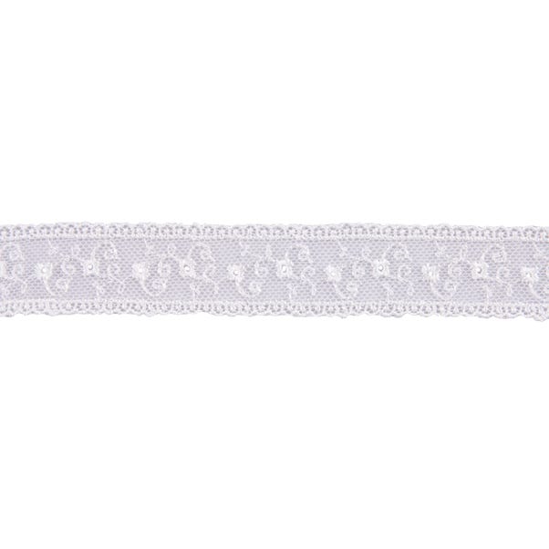 Lace Embellished Tulle Trim image 1 of 1