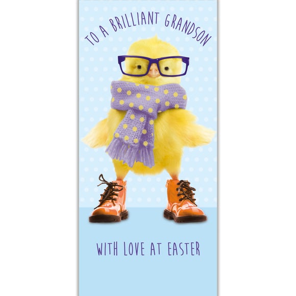 Grandson - Chick in glasses