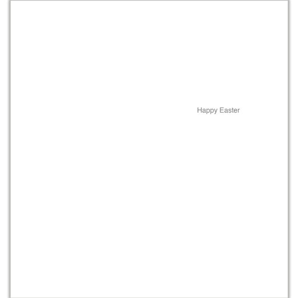 Carousel navigation image position 2 of 2