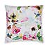 Sophia Floral Cushion Cover MultiColoured undefined