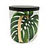 Voyager Leaf Coffee Canister Green