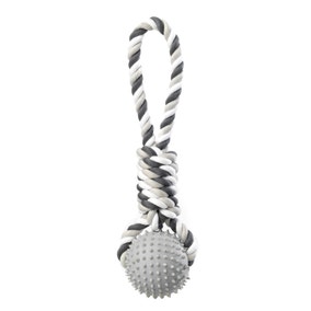 Rope with Spiky Ball Dog Toy