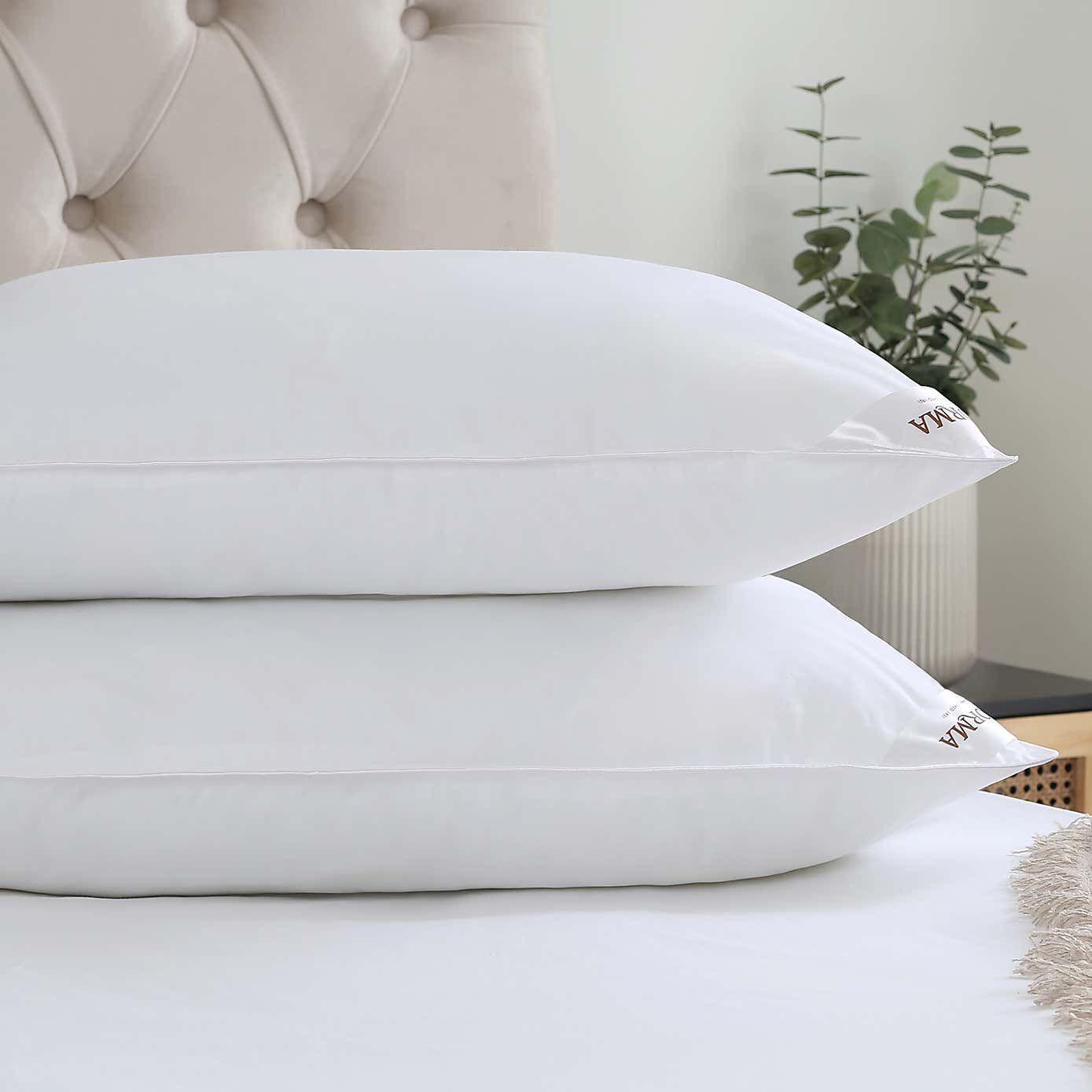 Carousel zoom image position 4 of 6