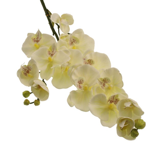 Artificial Cream Real Touch Orchid Stems image 1 of 1