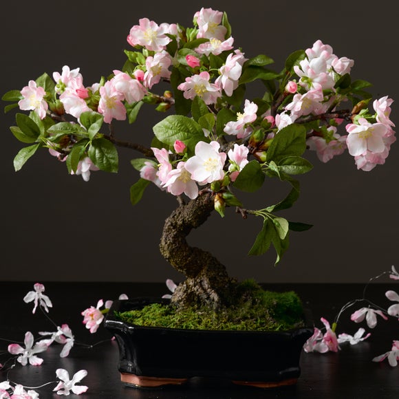 Click to view product details and reviews for Artificial Cherry Blossom Bonsai Tree.