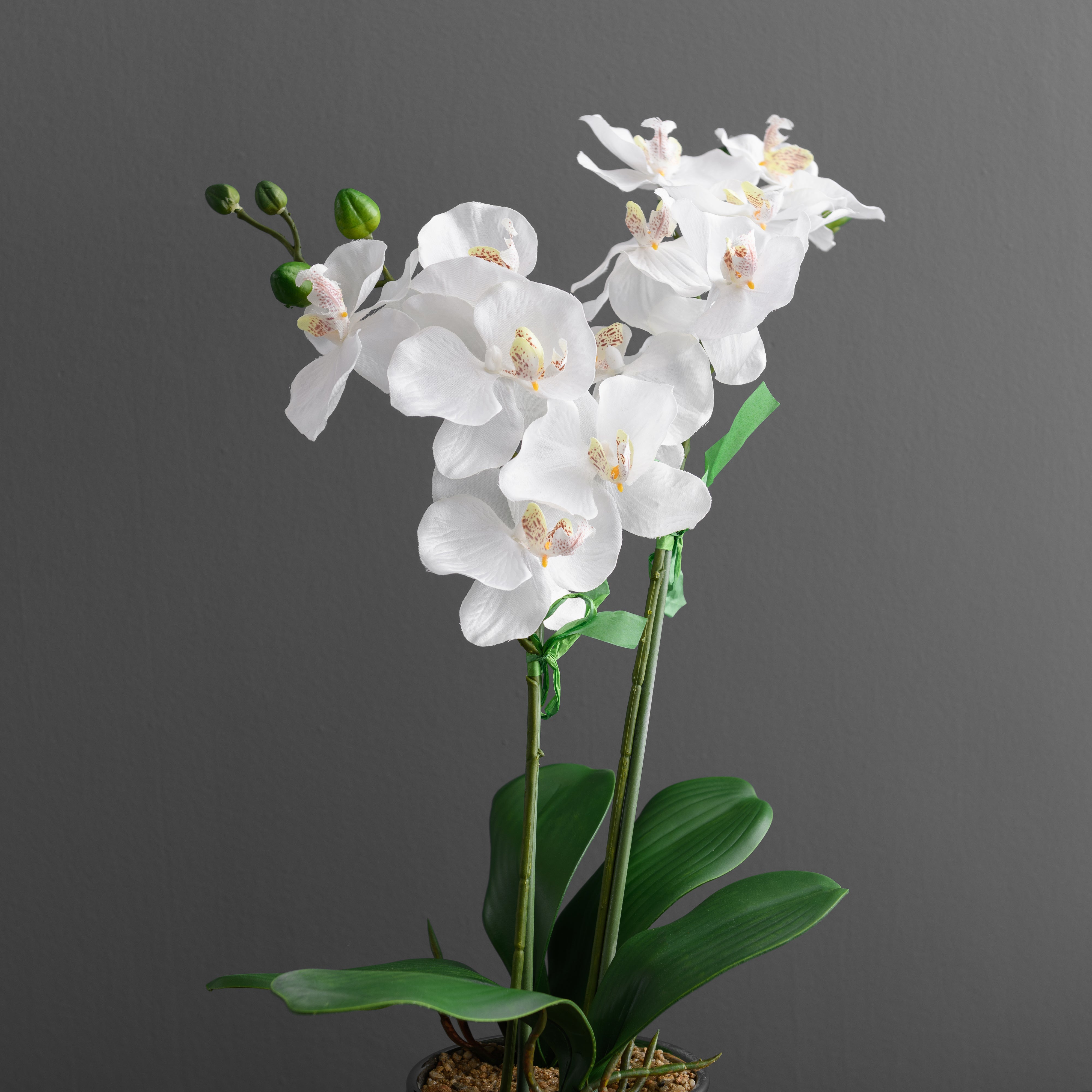 Artificial Orchid White In Silver Pot 28cm | Dunelm