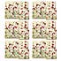 Set of 4 Wild Field Poppies Placemats & Coasters Red