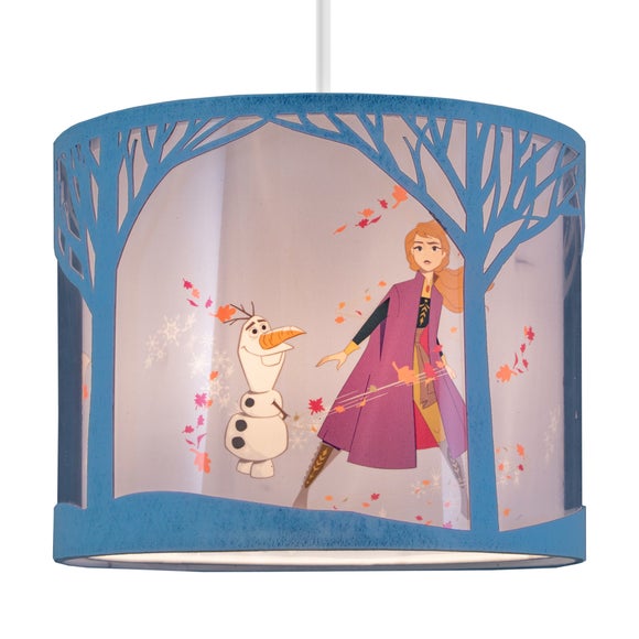 frozen light shade