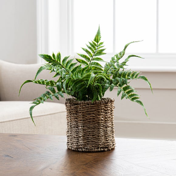 Dunelm 2024 artificial plants