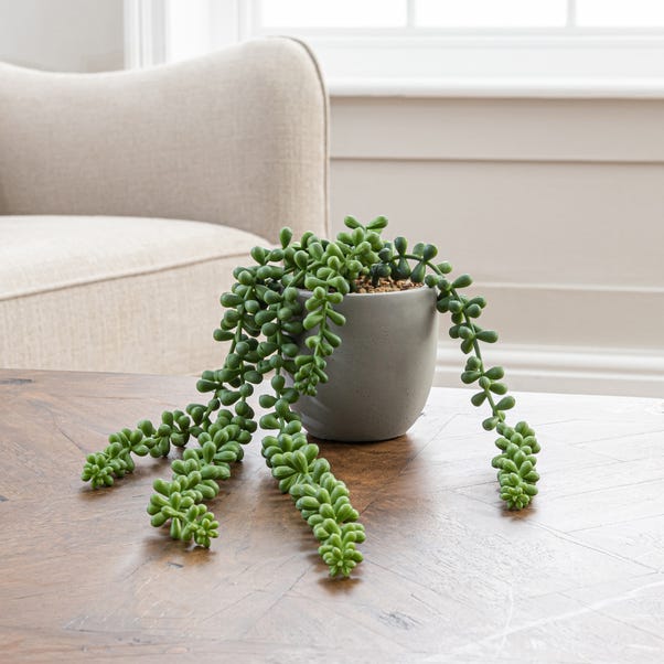 Artificial String of Pearls in Grey Cement Plant Pot image 1 of 2