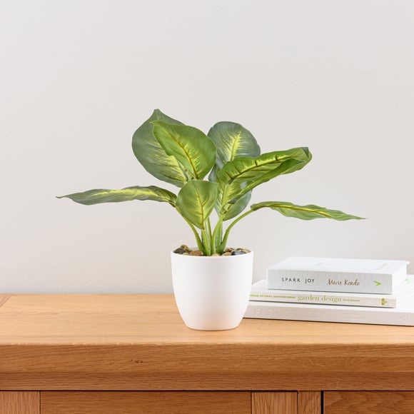 Artificial Dieffenbachia In White Plant Pot