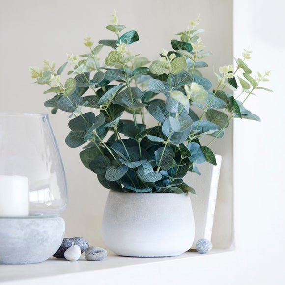 Artificial Eucalyptus In White Plant Pot