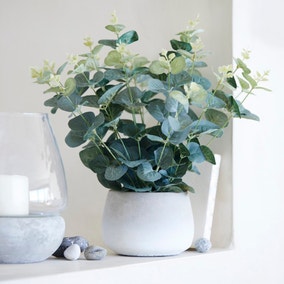 Artificial Eucalyptus in White Plant Pot