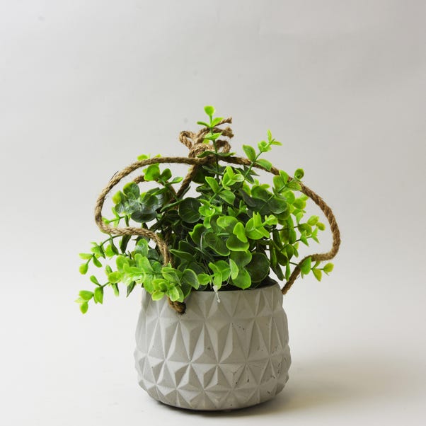 Artificial Herbs in Hanging Cement Plant Pot 24cm image 1 of 2