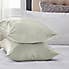 Dorma Ivory Silk Pillowcase