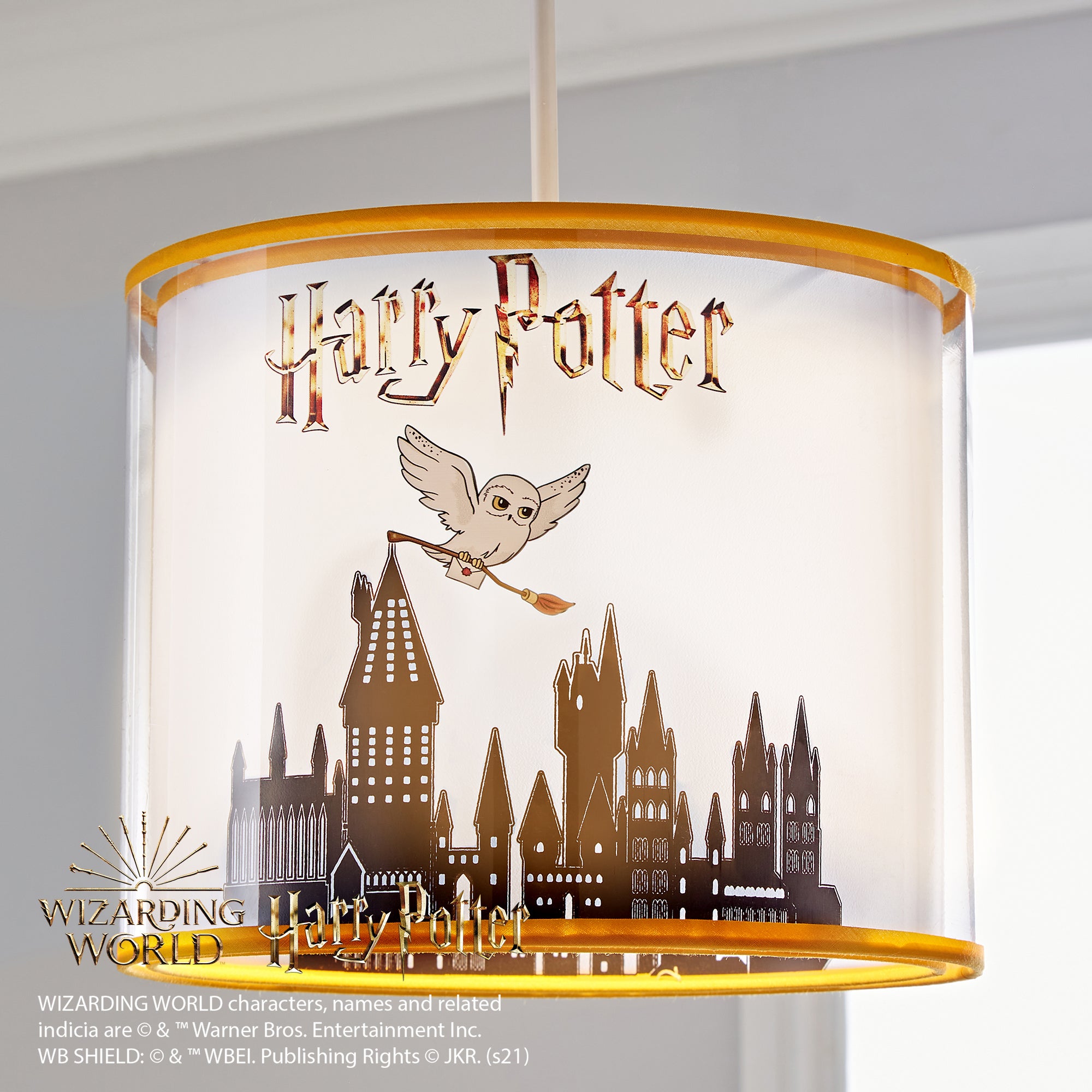 Harry Potter Light Shade