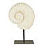 Fossil Shell on Stand Sculpture Natural
