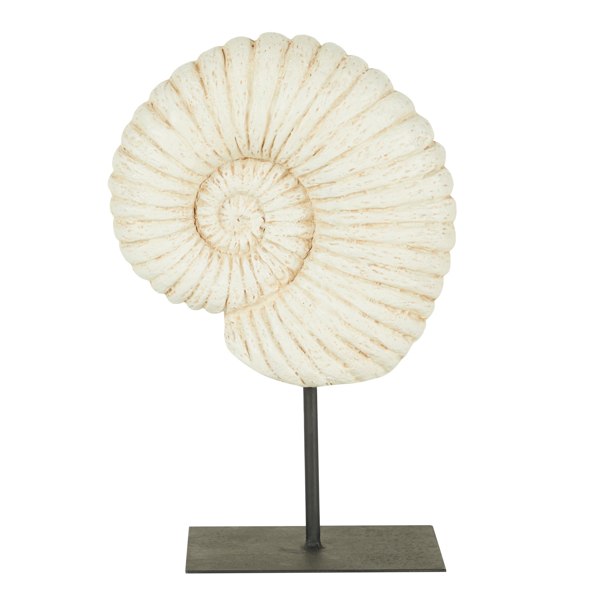 Fossil Shell On Stand Sculpture Brown