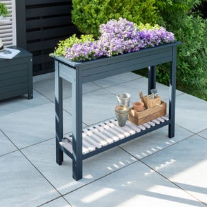 Galaxy Planter And Tray