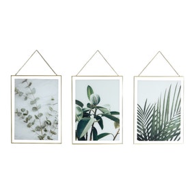 Set of 3 Hanging Leaf Prints