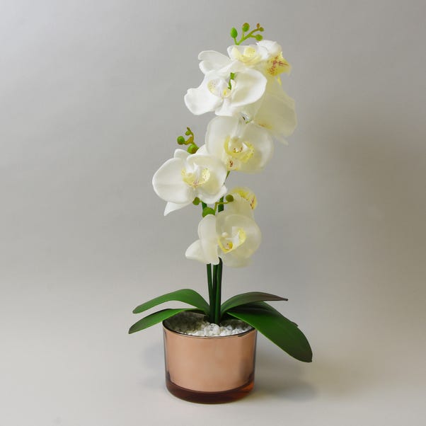 Artificial Cream Orchid in Gold Glass Plant Pot image 1 of 1