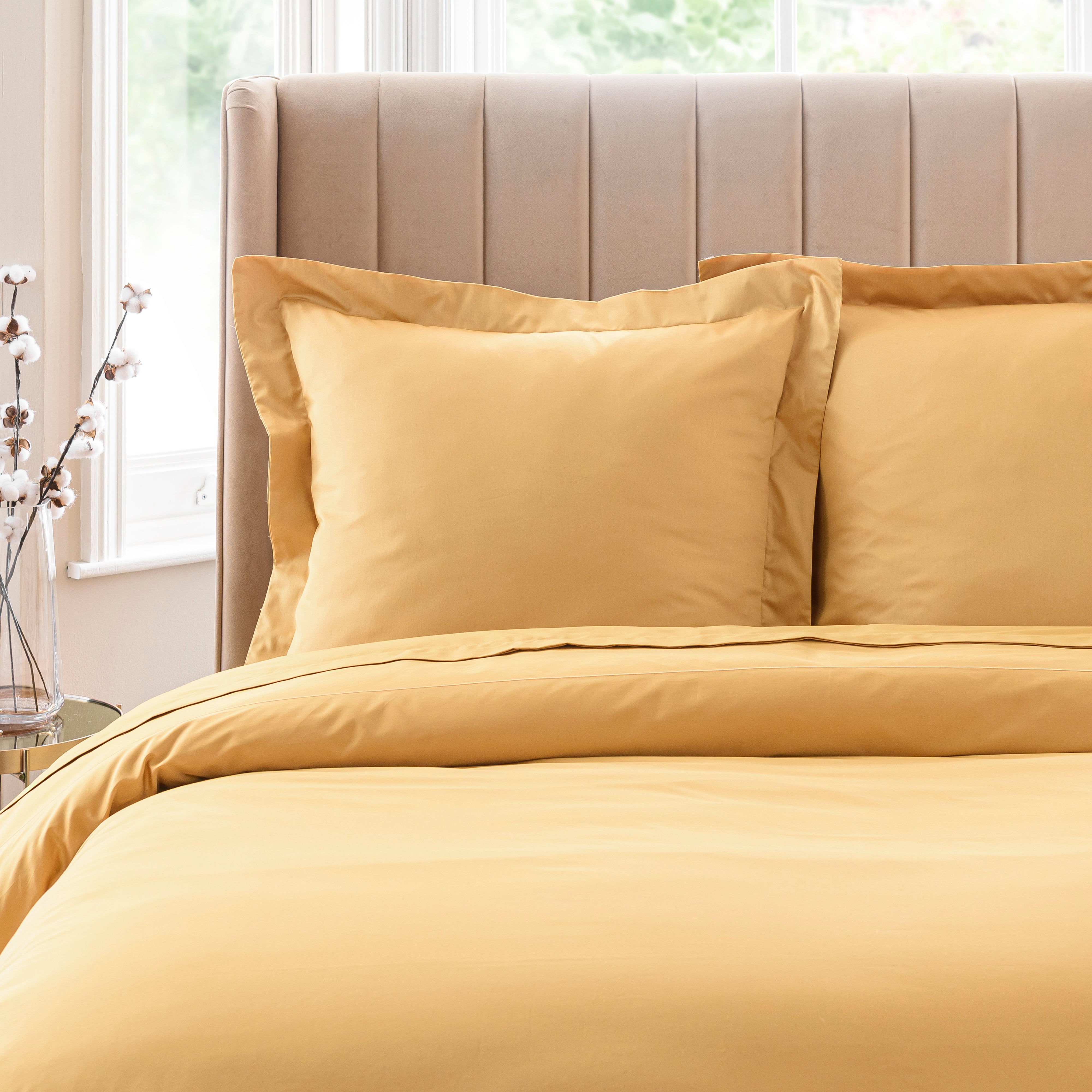 Dorma 300 Thread Count 100 Cotton Sateen Plain Continental Square Pillowcase Yellow