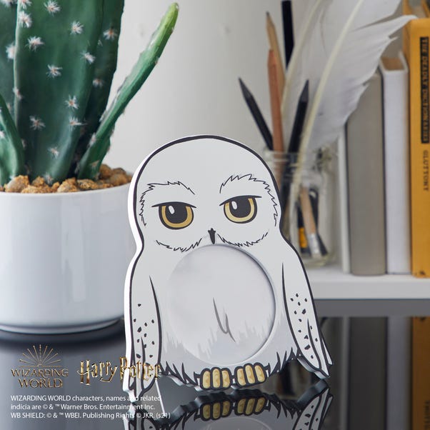 Harry Potter Hedwig Frame Black and white