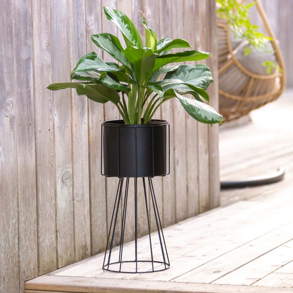 Black Plant Pot on Wire Stand image 1 of 5