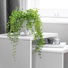 Artificial Trailing Plant in White Footed Plant Pot