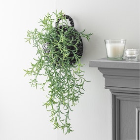 Artificial String of Needles in Black Hanging Wall Basket