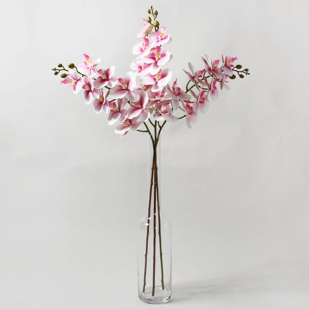 Artificial Orchid Trio Pink/Cream in Glass Vase  Pink
