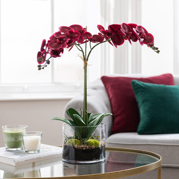 Dorma Artificial Pink Orchid in Glass Vase image 1 of 4