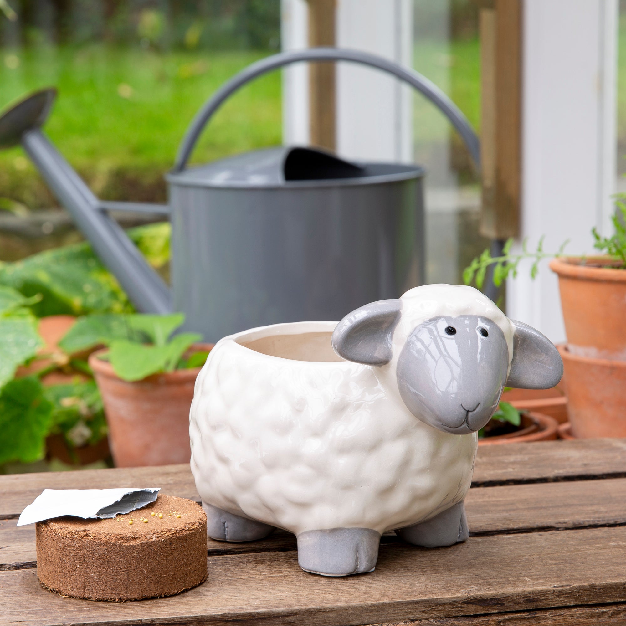 Grow Your Own Mint with Sheep Plant Pot