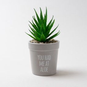 You Had Me At Aloe Artificial Succulent Plant