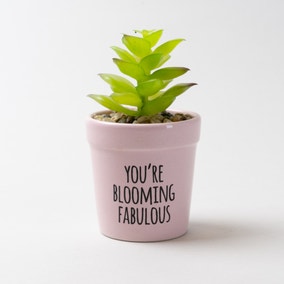 You're Blooming Fabulous Artificial Succulent Plant