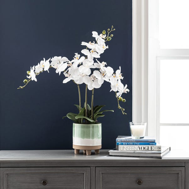 Triple Orchid in Ceramic Pot White