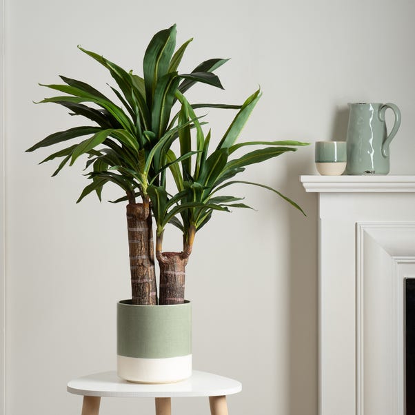 Artificial Double Stem Yucca Plant in Black Plant Pot image 1 of 3