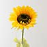 Sunflower Yellow Stem 80cm