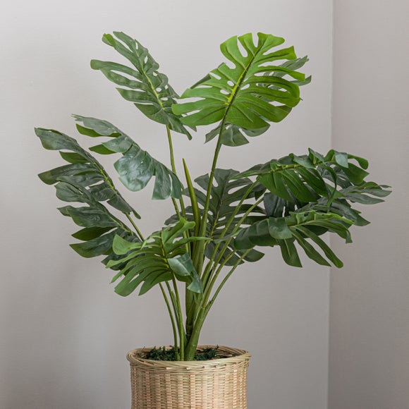 Monstera in Bamboo Basket Dunelm
