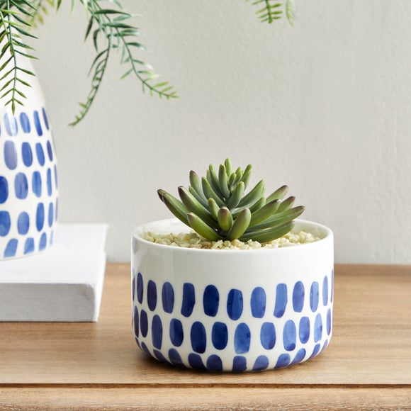 Artificial Succulent In Dottie Coastal Plant Pot