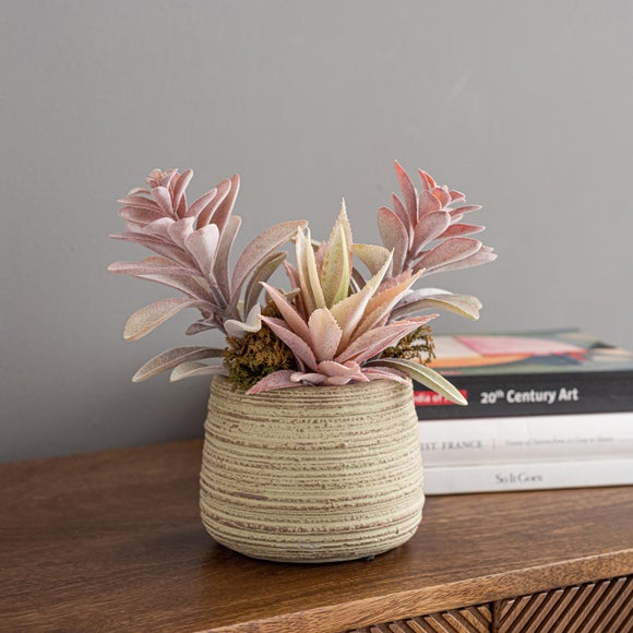 Churchgate Artificial Pink Succulents In Natural Plant Pot