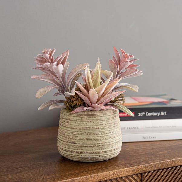 Churchgate Artificial Pink Succulents in Natural Plant Pot image 1 of 4