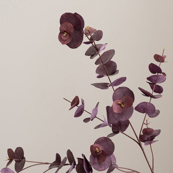 Premium Purple Eucalyptus Dunelm